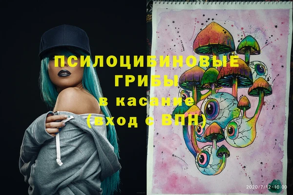 дживик Богородск