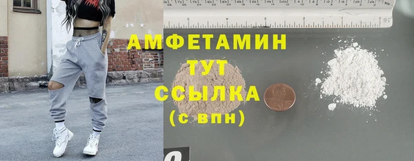 дживик Богородск