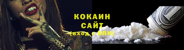 дживик Богородск