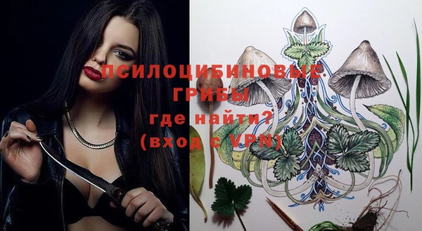 мескалин Богданович