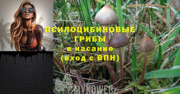 дживик Богородск