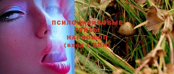 мескалин Богданович