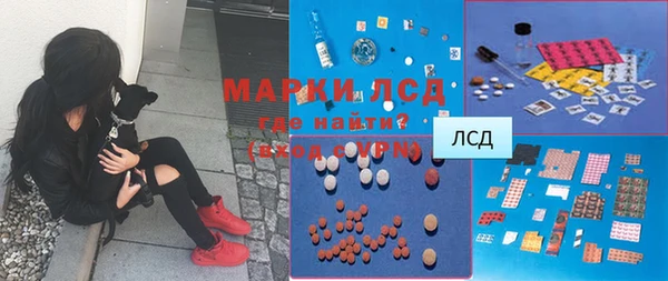 дживик Богородск