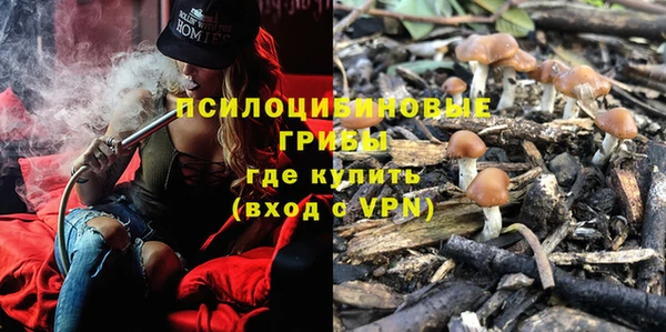 дживик Богородск