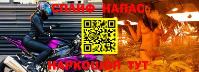 a pvp Дубна
