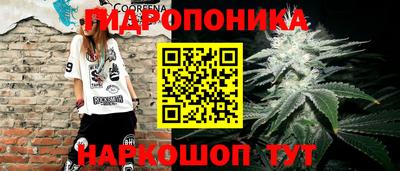 амф Донской