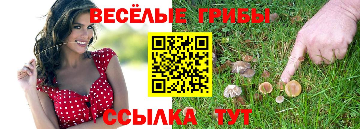 Галлюциногенные грибы ЛСД Наро-Фоминск