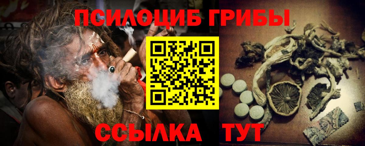 Псилоцибиновые грибы Psilocybe  Вход с VPN  Галлюциногенные грибы Magic Shrooms  наркошоп  Наро-Фоминск 